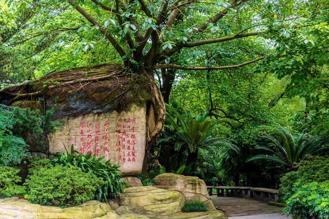 重庆值得去的6个公园推荐！全部免费，好玩又好拍！你都去过几个