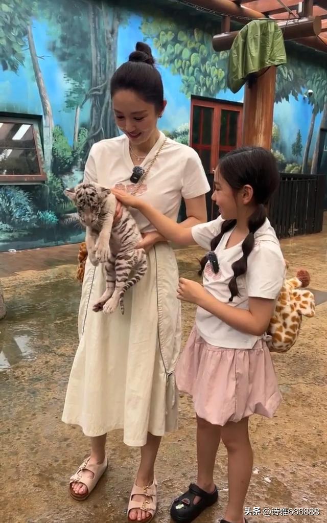 大家快来郑州银基动物王国偶遇董璇和小酒窝，小猴子小老虎好可爱