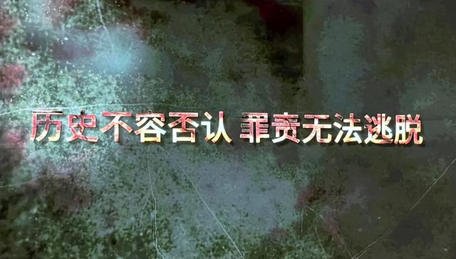 《731》未如期上映，《南京照相馆》又遭网暴，网友：彻查到底！