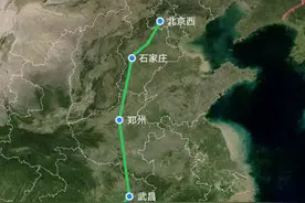 D1次列车由北京西至长沙，由王牌特快Z1升级为AD钙图片