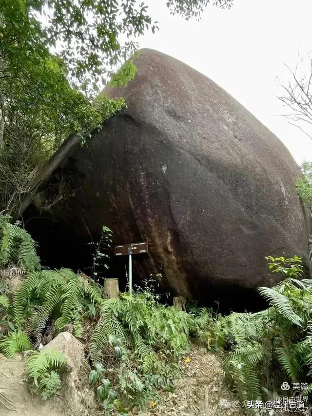 一步一景，奇石不断！温州这处奇石纷呈的的免费景区你可去过？