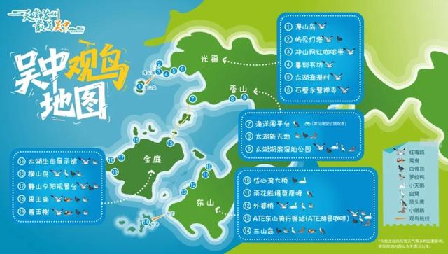 真的很美！2025苏州太湖观鸟超详细攻略来啦！