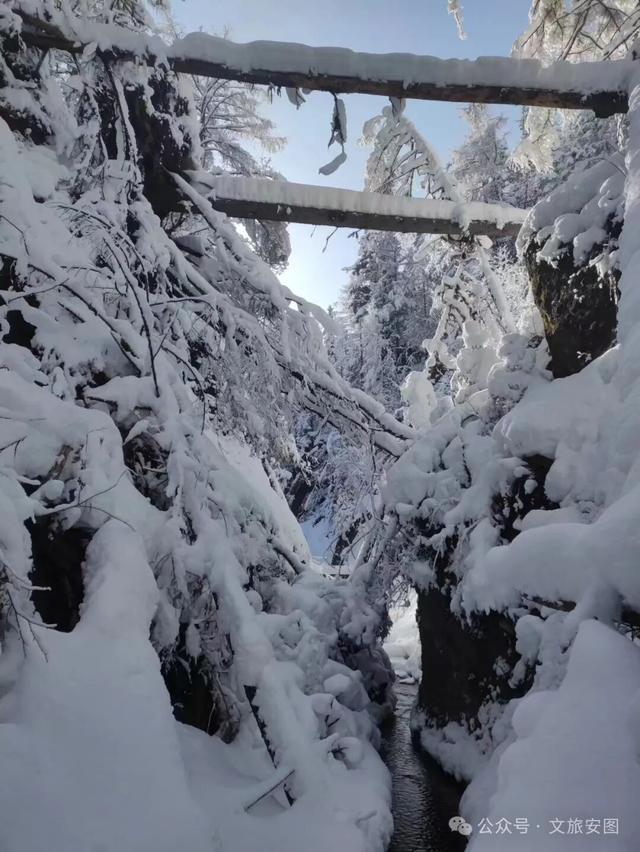 走，去长白山峡谷浮石林，踩最野的雪！看最奇的景！