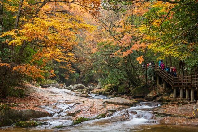 10月-11月的四川，这10处蜚声中外的秋景，一处比一处好看