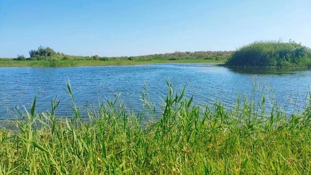 沙漠深处的生态奇迹：探访136团小拐无名湖湿地