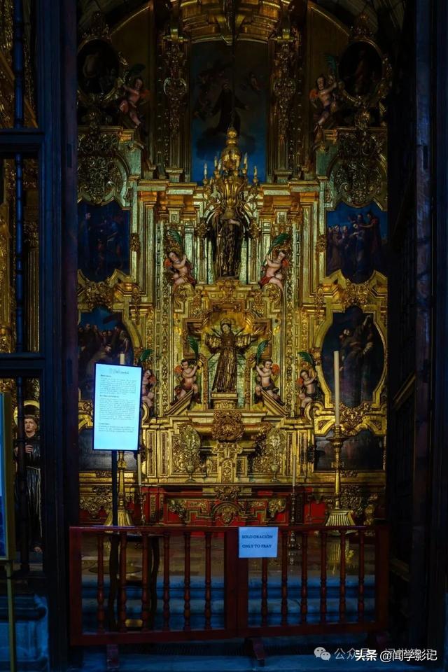 墨西哥城见闻：宪法广场•抗议大本营