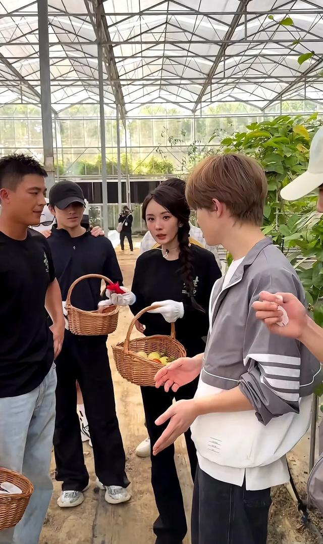 欧豪和杨幂现身菜园子，杨幂打扮好漂亮，欧豪比其他人更像农民