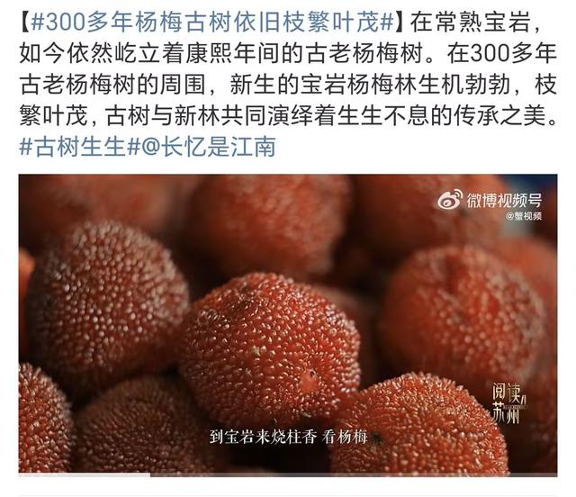 这座我去了又去的江南小城，魅力实在太大了