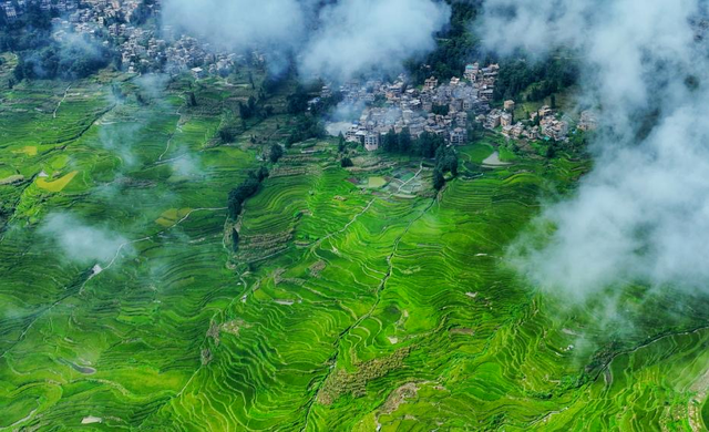 探秘“三遗产” | 人与自然长期互动的完美产物