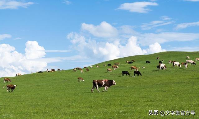 30条治愈系旅行文案，又短又高级，发朋友圈秒赞！附图