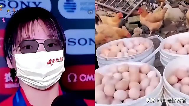 国家终于出手了！被牵连的何止李梓萌	，全红婵成龙也没逃过