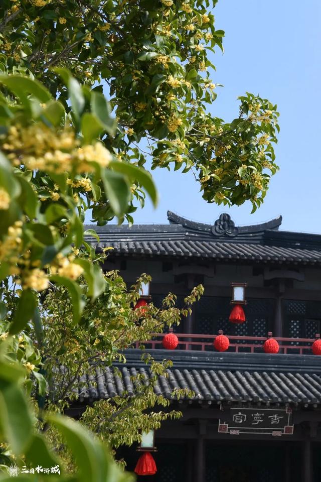 秋日预“景”！接下来的三国水浒城是这样的~