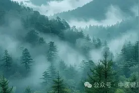 “气聚则生，气散则死”，中医眼里的“气”究竟是什么？图片