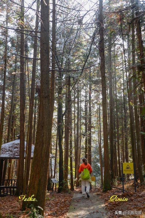 影记 | 衢州钱江源国家森林公园