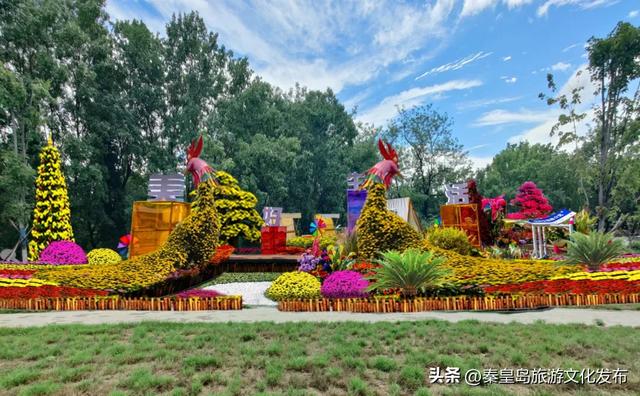 山海关长城金秋菊展即将启幕，精彩抢先看！