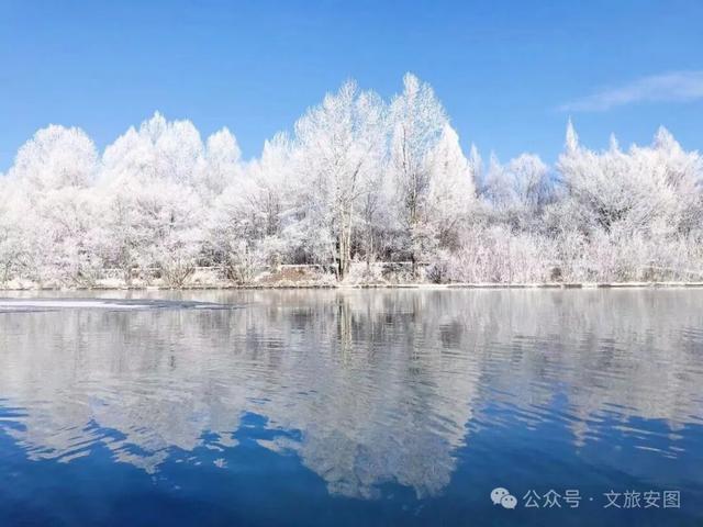 挖到宝了！这个叫安图的小城，装着整个冬天的快乐