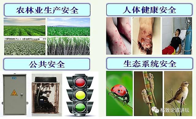 80%以上的村民都被咬，围攻广东村庄的这个入侵物种究竟什么来头