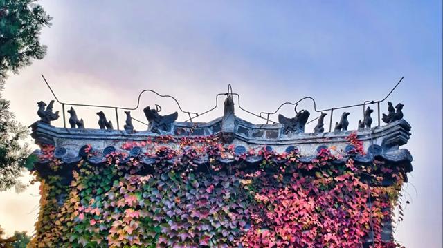 此时的你,被美到了!