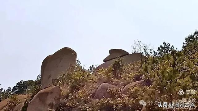 大罗山这条改造过的登山步道你可去过?