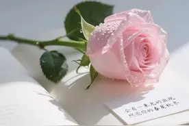 “取个中药微信昵称 ˗ˏˋ🧡ˎˊ˗，好听到爆”图片