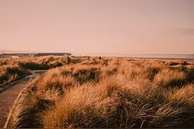 人的苦，只有自己知道！（读到心酸）图片