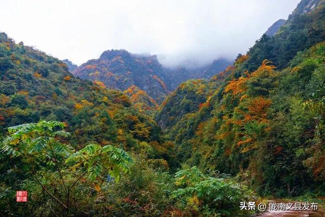醉美文县：秋色斑斓大岭梁
