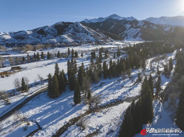 吉木萨尔渭户沟：雪落山林披银装 冬日画卷藏诗意