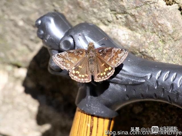 三叠泉拍片的故事[下]（江西之旅第九篇）