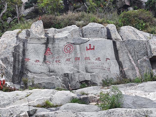 徒步登泰山之三——岱顶风光奇秀绝天下