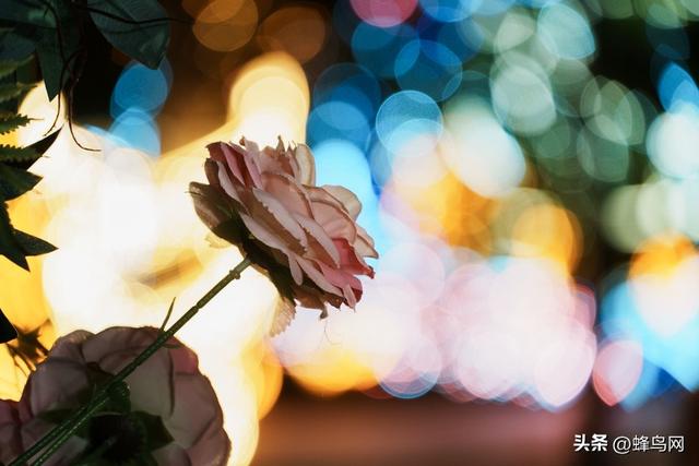 20mm起步的一镜走天下镜头 适马20-200mm F3.5-6.3 DG | C评测