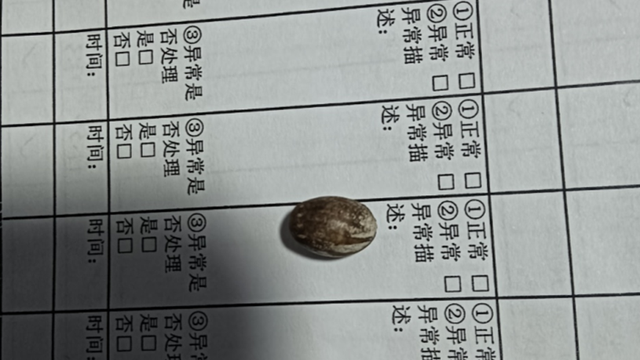 秋冬季节，光秃秃树枝上藏着童年宝藏，“杨拉罐” 你还记得吗？