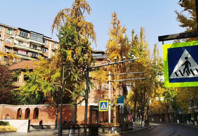 小径披金黄外衣，银杏叶片如金币，冬日里竟藏着流动画卷