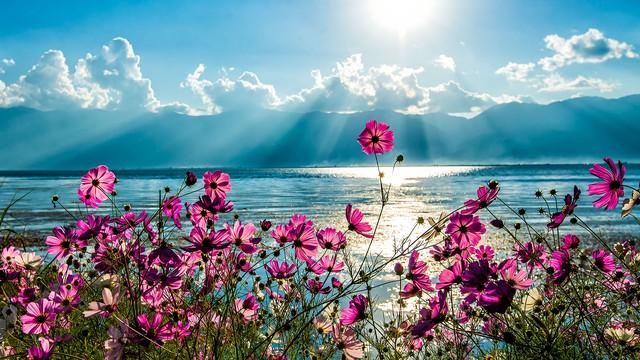 云南：夏可以纳凉冬可以避寒