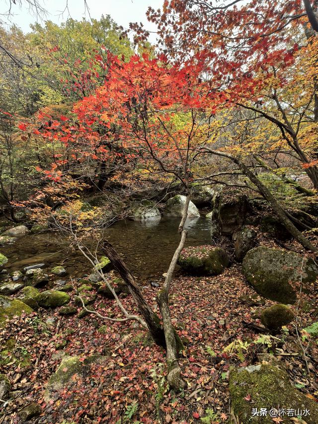 2025辽宁赏秋之旅日记(3)——游览洋湖沟和老边沟