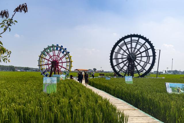 辽宁沈阳：一处画在田间人在画中的景区吸引来自四面八方的游人