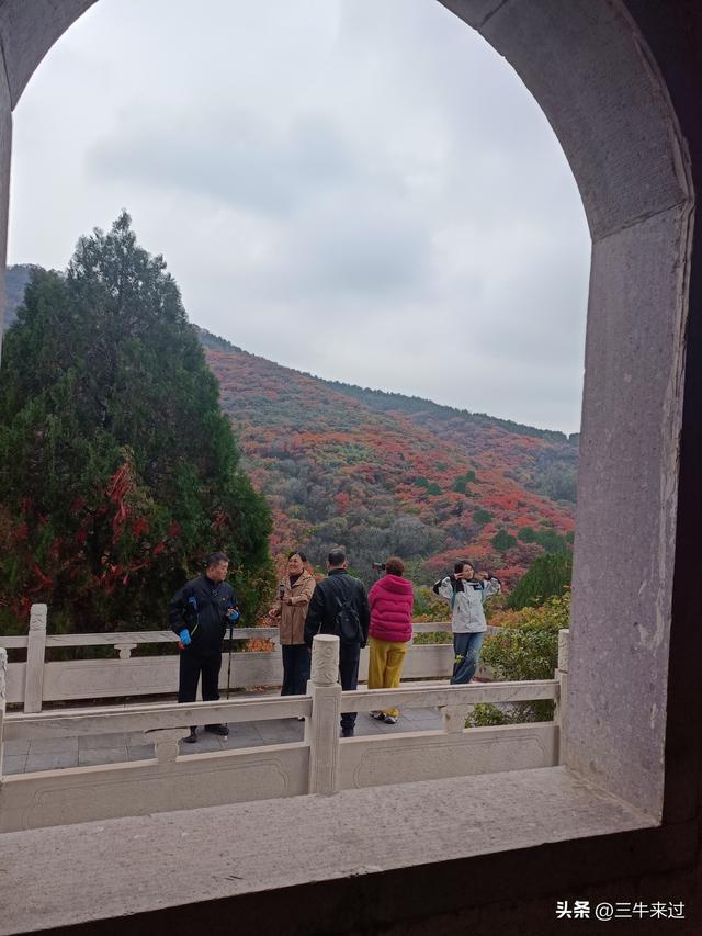 无为在歧路，济南红叶谷