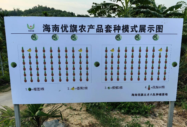 失去中国市场后，大量水果烂地里卖不出去，现在开始后悔得罪中国