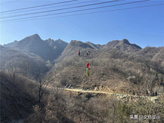免费吃！免费看！半价玩！栾川竹海野生动物园推出春节巨献