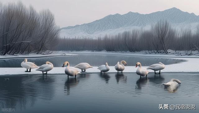 尔滨很赞，但新疆的冰雪季也超级惊艳啊！