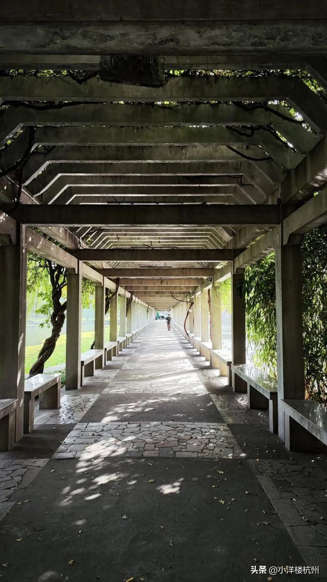 跟随树友们逛中国第一座现代植物园——浙大植物园