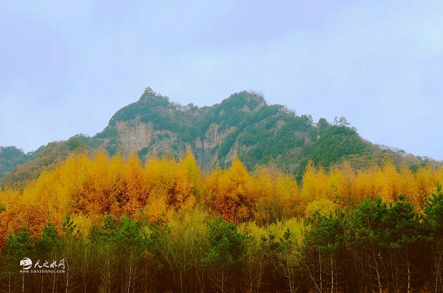 秋染天水白音山双乳峰:一幅大自然馈赠的立体画卷