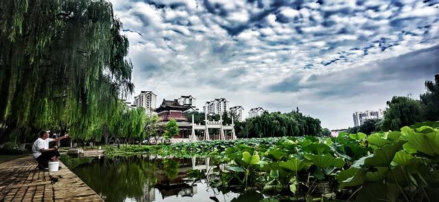 齐风鲁韵｜山东泰安肥城市：美丽小城我的家