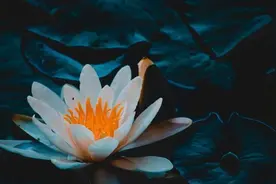 一个男人，彻底爱上婚外的女人后，对妻子会有的表现图片