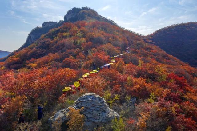 看漫山红叶、赏壮美秋景，邢台这些地方千万不要错过