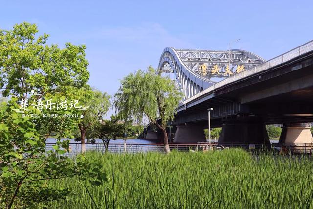浙江宁波的江畔公园，湿地、溪谷、花海等一应俱全，堪称露营胜地