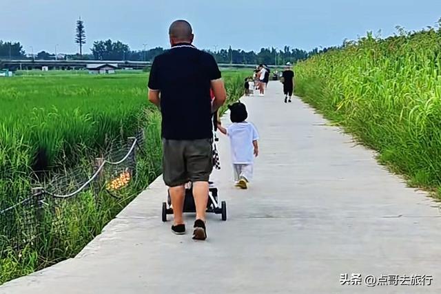 成都三元地铁又上新风景，超级惊艳，不要门票，地铁直达！