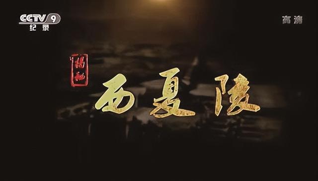 从“养在深闺”到走向世界 西夏陵申遗背后的文化传播密码