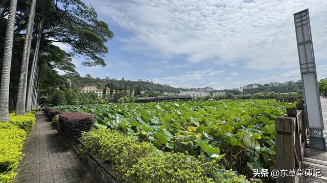 探秘福建农林大学苍山校区：不只是颜值爆表！