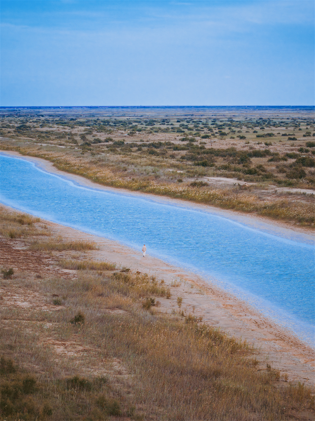 为了这些照片，我专门来了一趟东营！