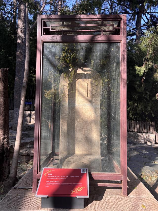 博物FUN | 大觉寺：千年古刹的禅意与新生